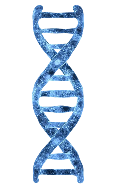 DNA Helix Structure